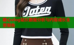 糖心vlog站长数据分析与内容成长全景报告