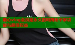 糖心vlog会员是永久的吗揭秘平家功能与超值权益
