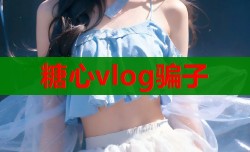 糖心vlog骗子