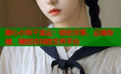 糖心小饼干流云：轻松分享、云端存储、随时访问的文件平台