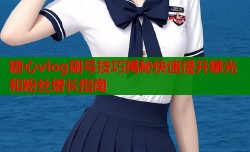 糖心vlog刷号技巧揭秘快速提升曝光和粉丝增长指南