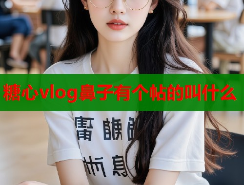 糖心vlog鼻子有个帖的叫什么 第1张 糖心vlog鼻子有个帖的叫什么 第1张